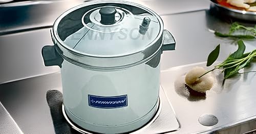 Tennyson Stainless Steel Outer Lid Idli Cooker Big (Without Plate), 5 liter