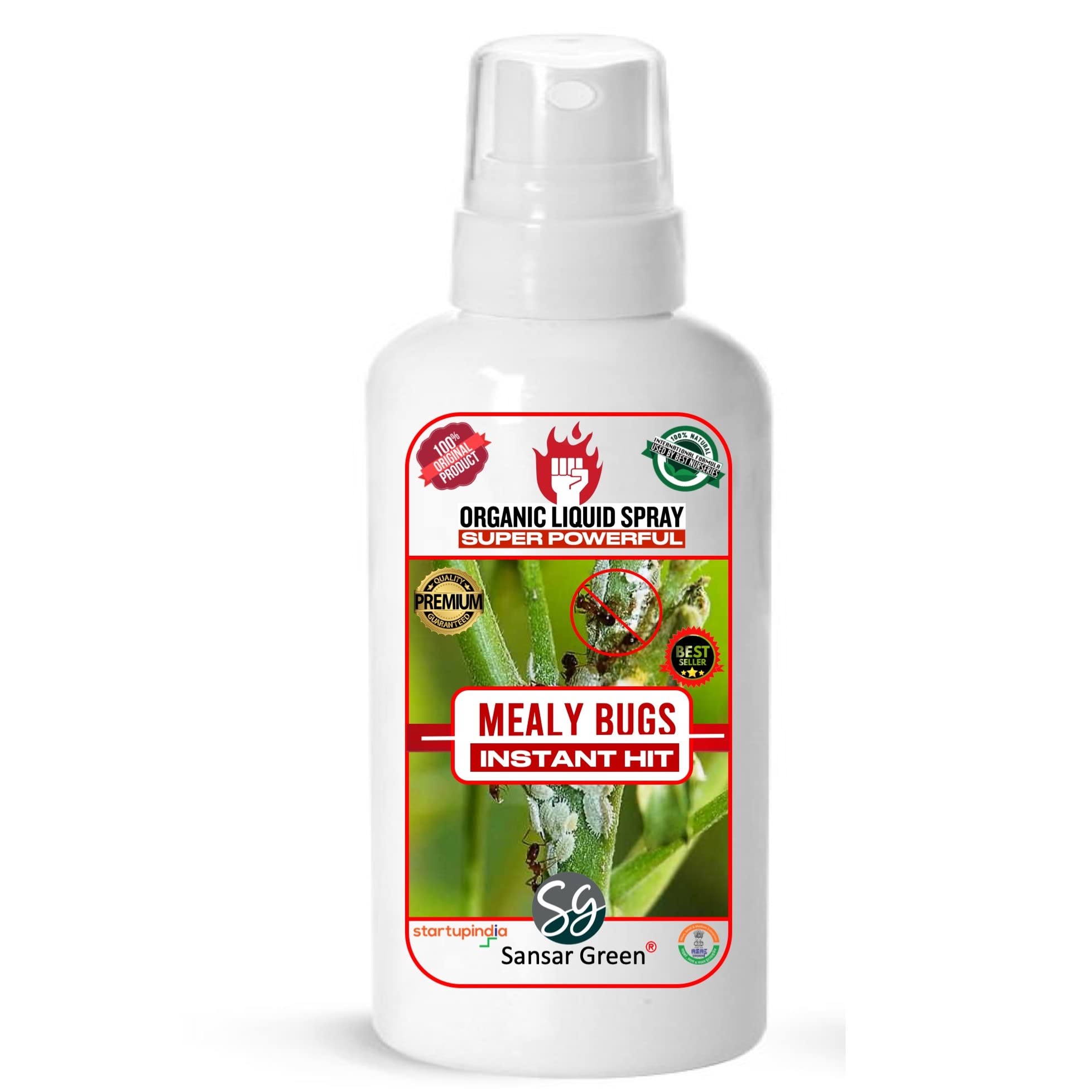 Sansar GreenÂ® Mealy Bug Instant Hit Spray, Premium Essential Super Powerful Liquid Spray for removing of Mealy Bugs from Plants (200 ml)