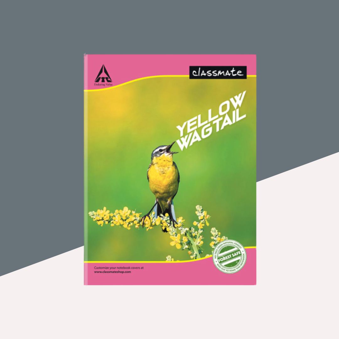 Classmate Double Line Notebook - 120 pages ( 1 Pcs. )